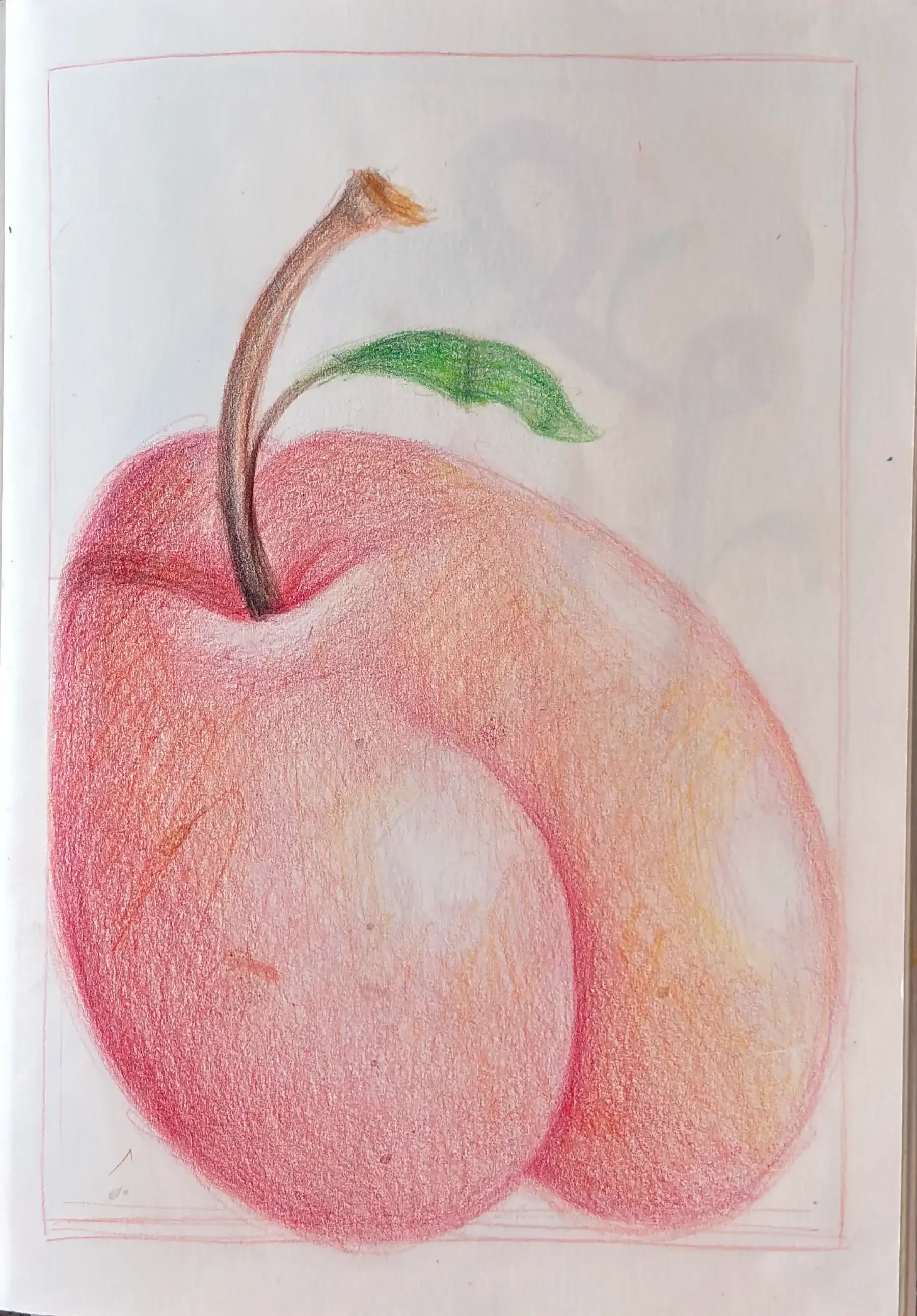 Apple Sketch
