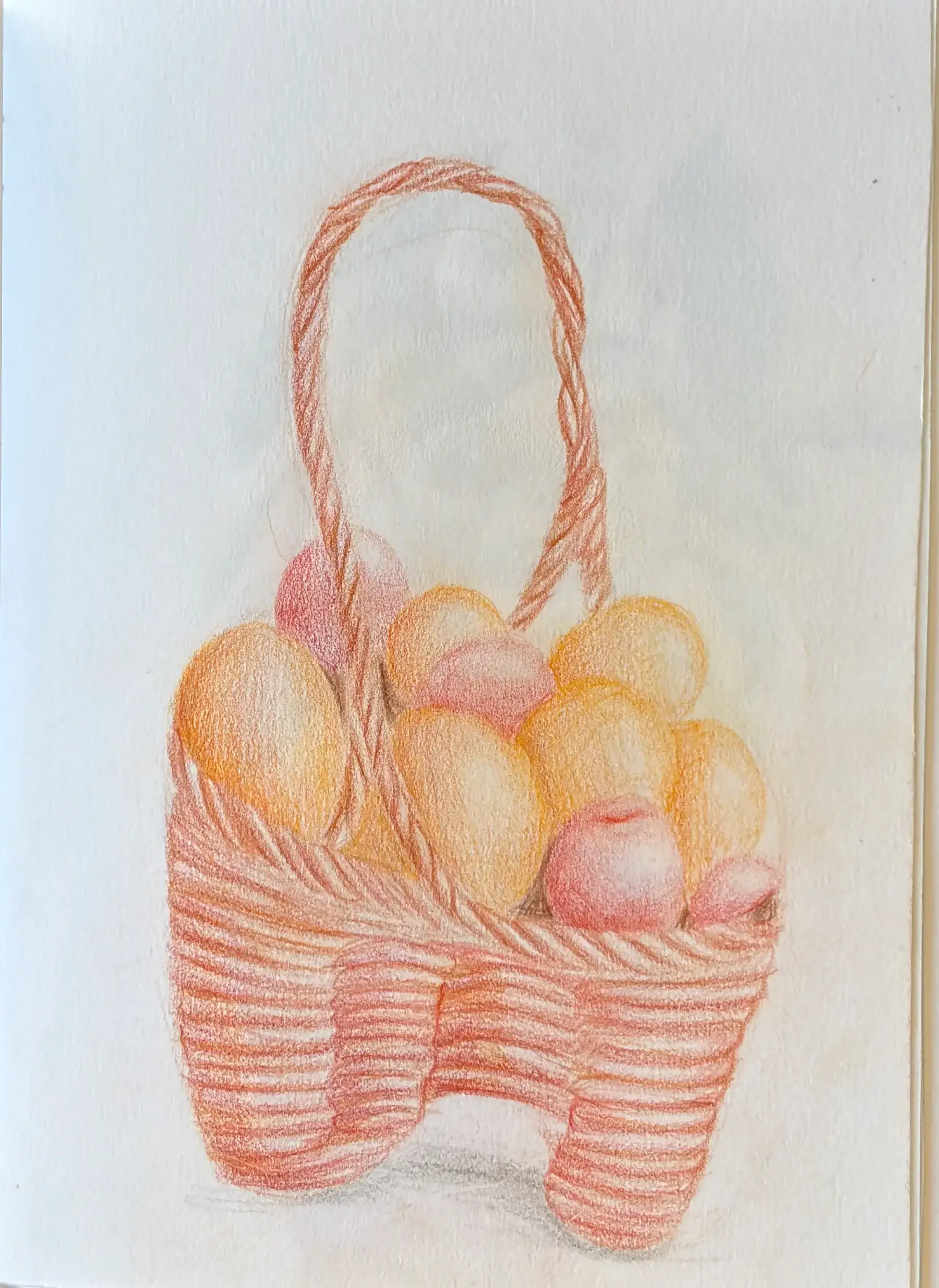 Basket Oranges Sketch