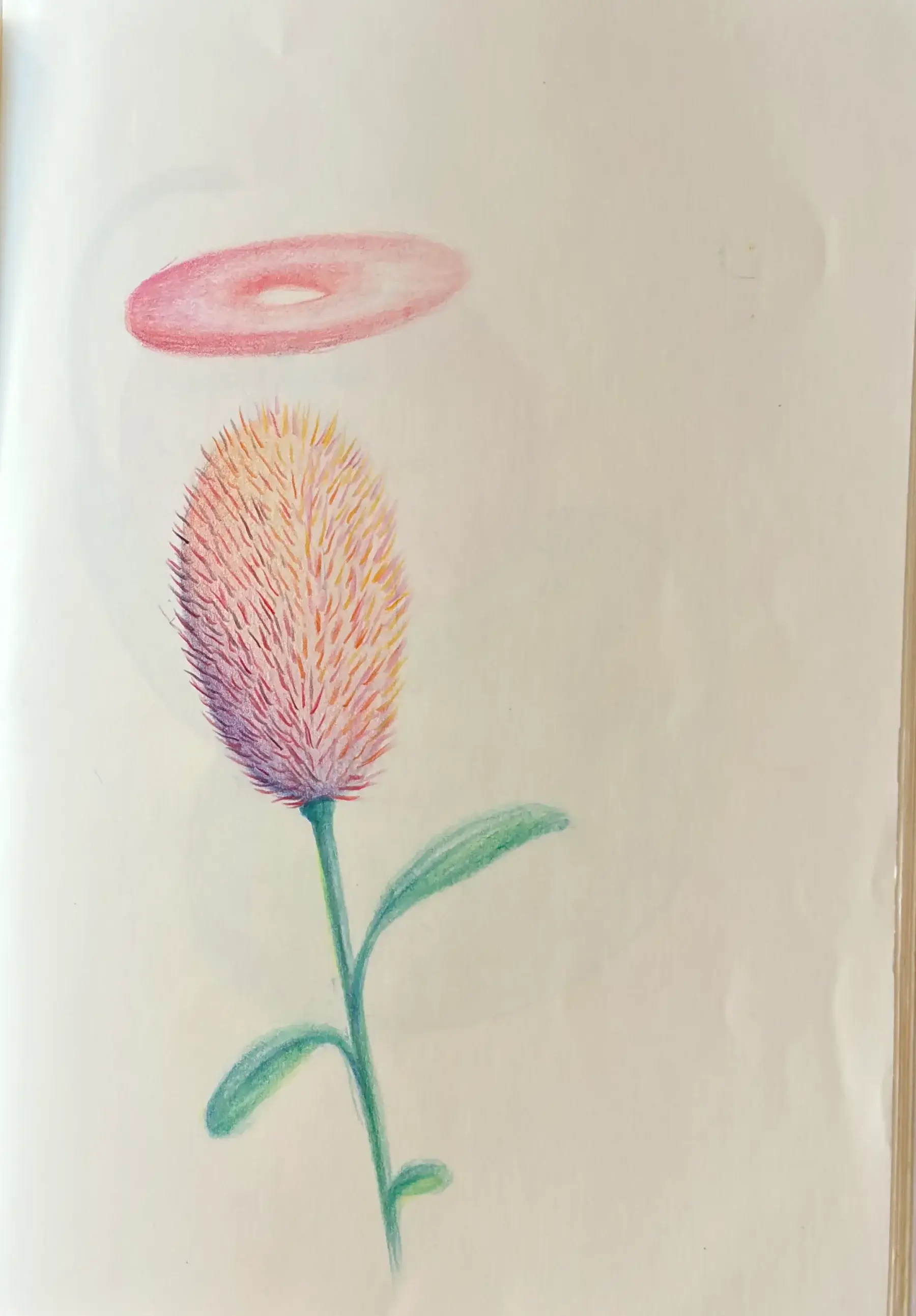 Flower sketch