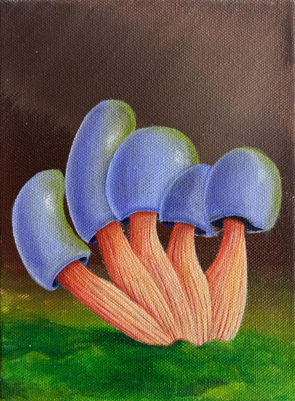 Mushroom Study