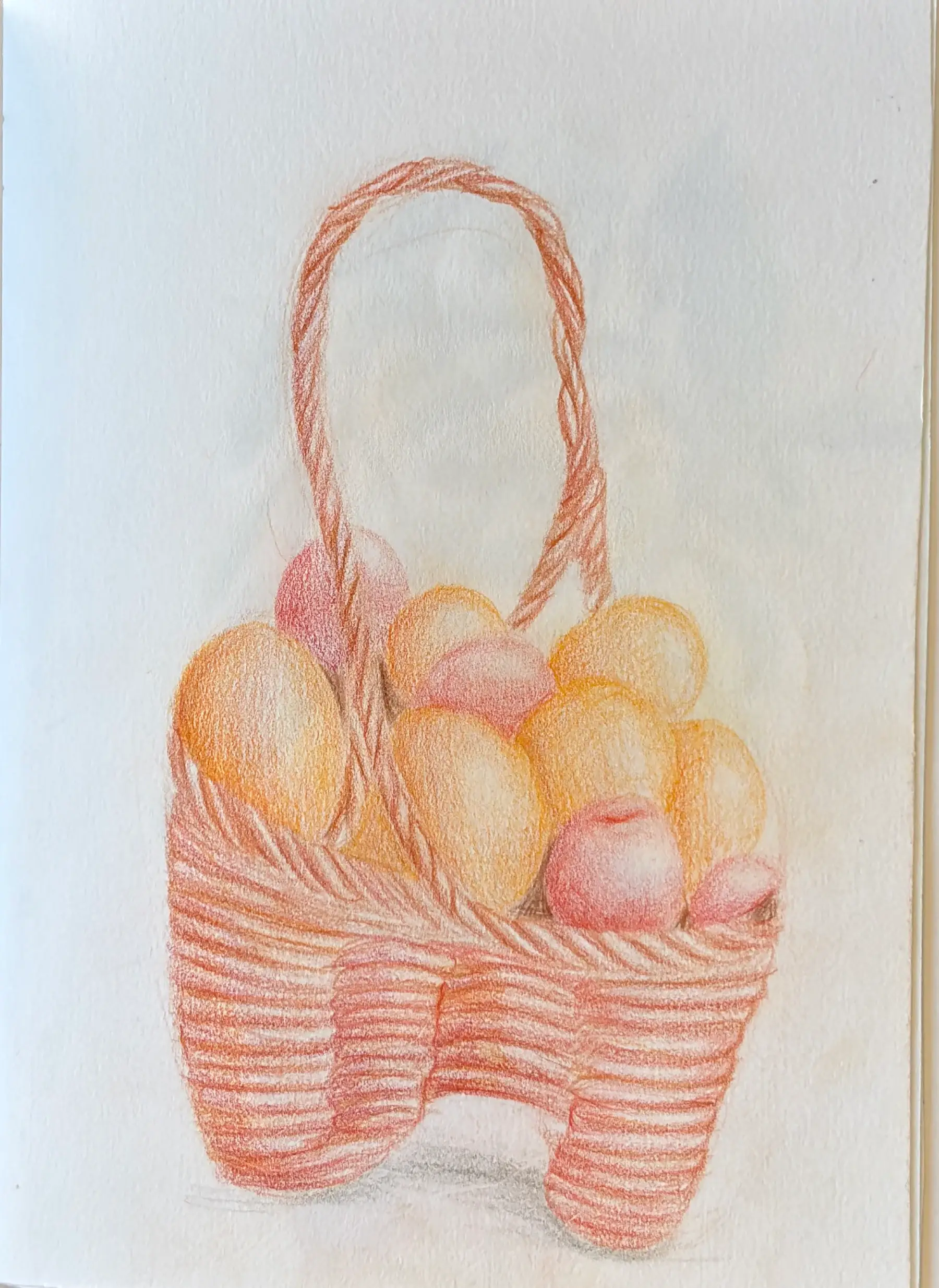 Basket Oranges Sketch
