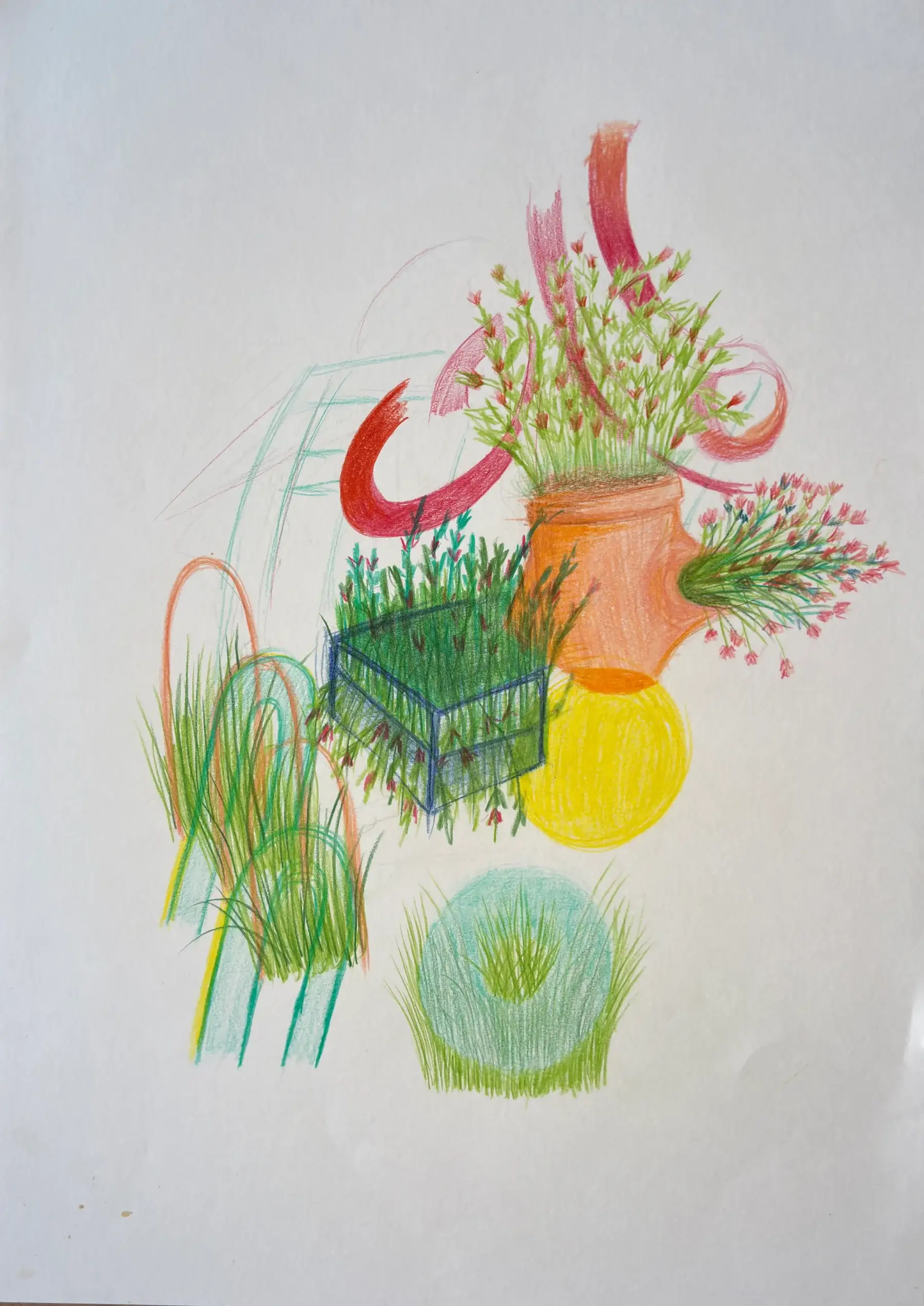 Random Plants sketch