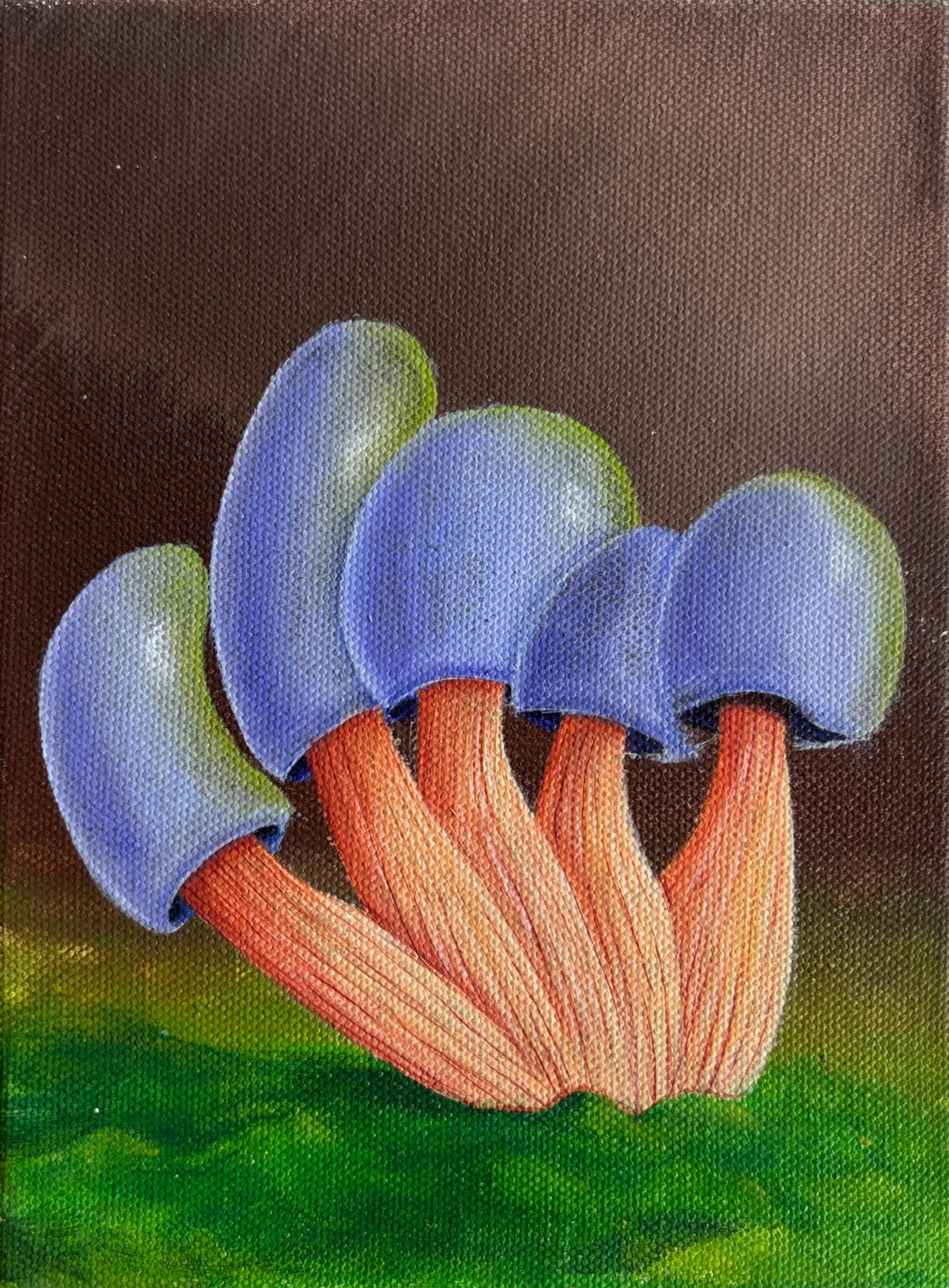 Mushroom Study