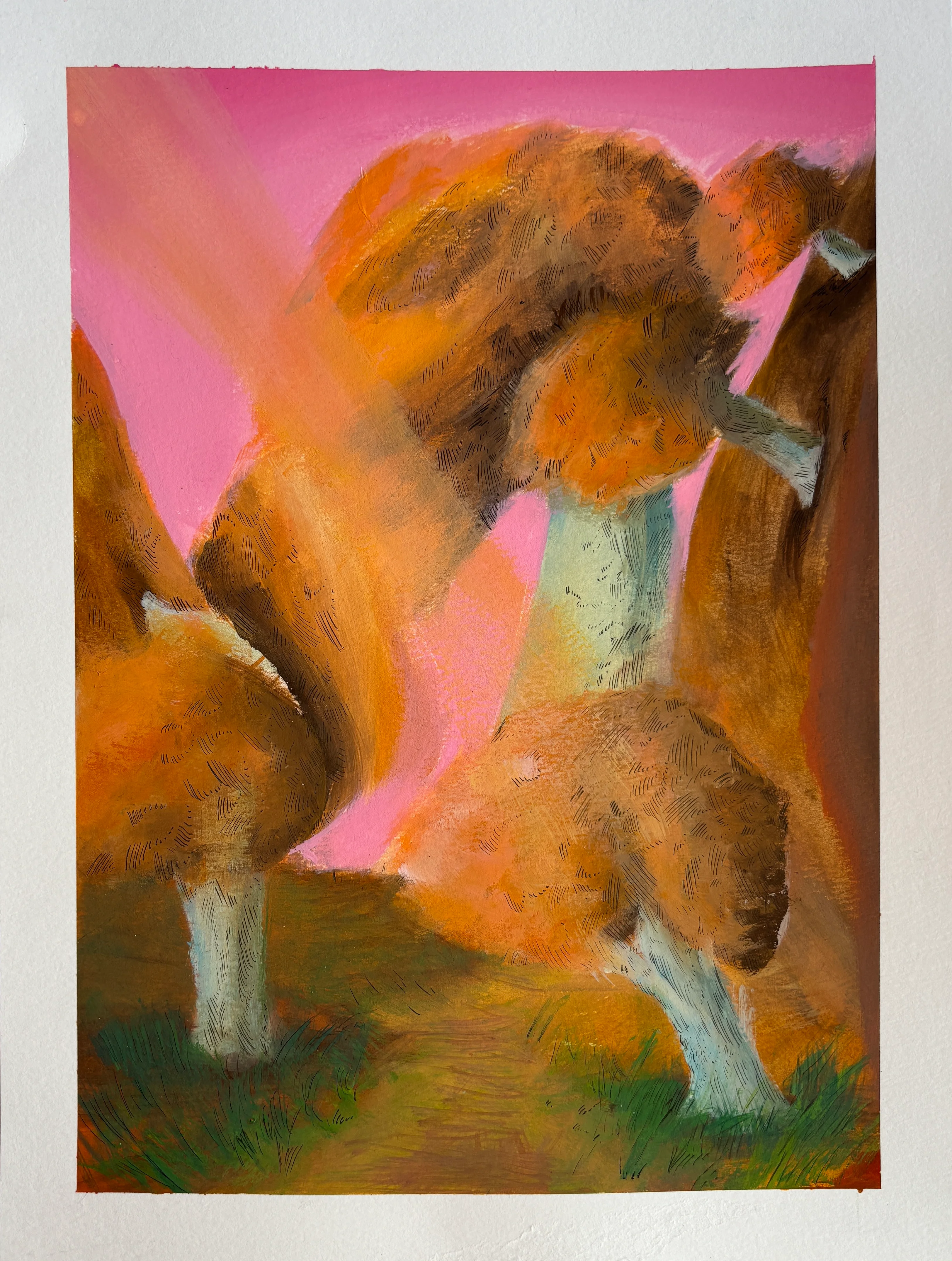 The Woods